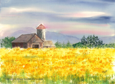 Mary's Barn in Daffodils