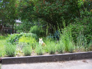 Freud sniffing the spring