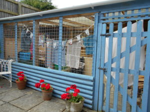 The rabbit hutch