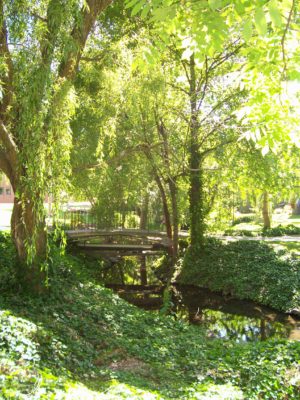 What used to be Lakem Duckem