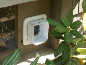 The outside cat door