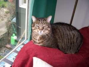 Cranky Old Man, Winston