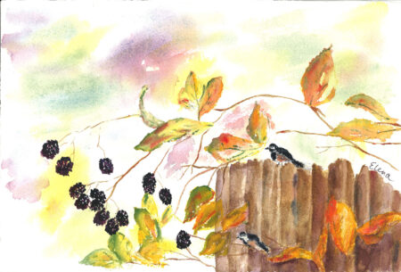 Autumn Blackberries