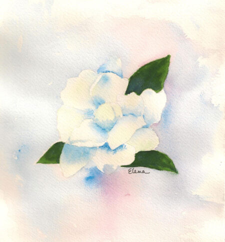 Gardenia